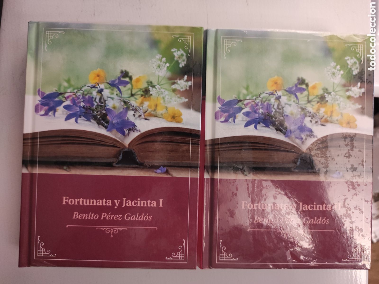 Libros de segunda mano: Fortunata y Jacinta de Benito P&eacute;rez Gald&oacute;s (2 vol&uacute;menes) - Foto 1
