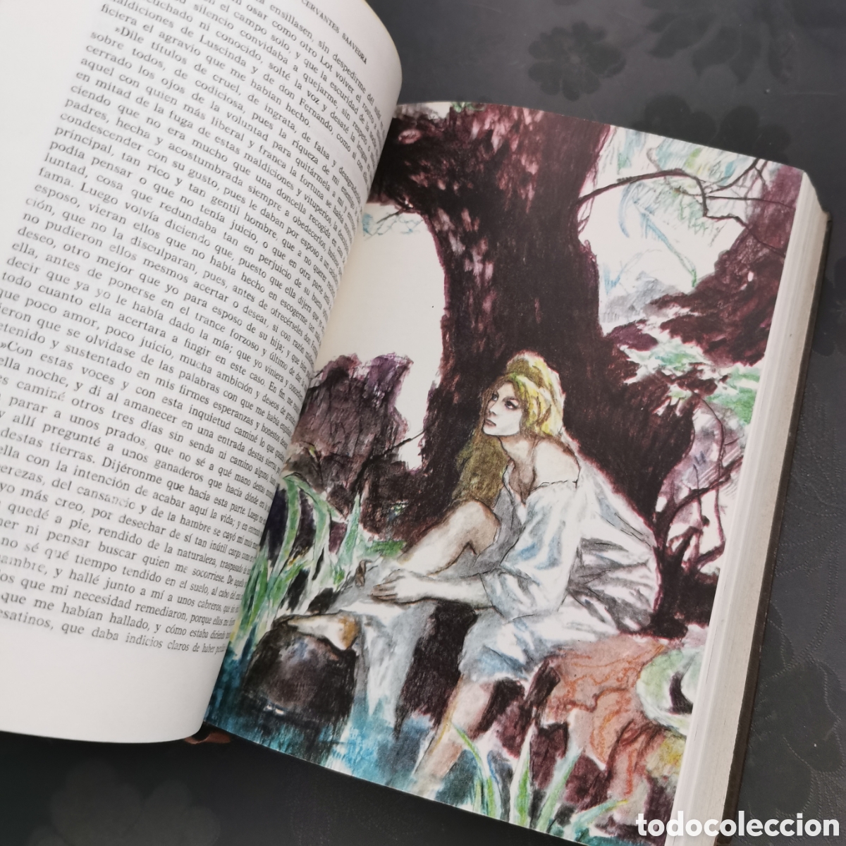 Libros de segunda mano: Don Quijote de la Mancha. Ediciones Comar. 1964 - Foto 4