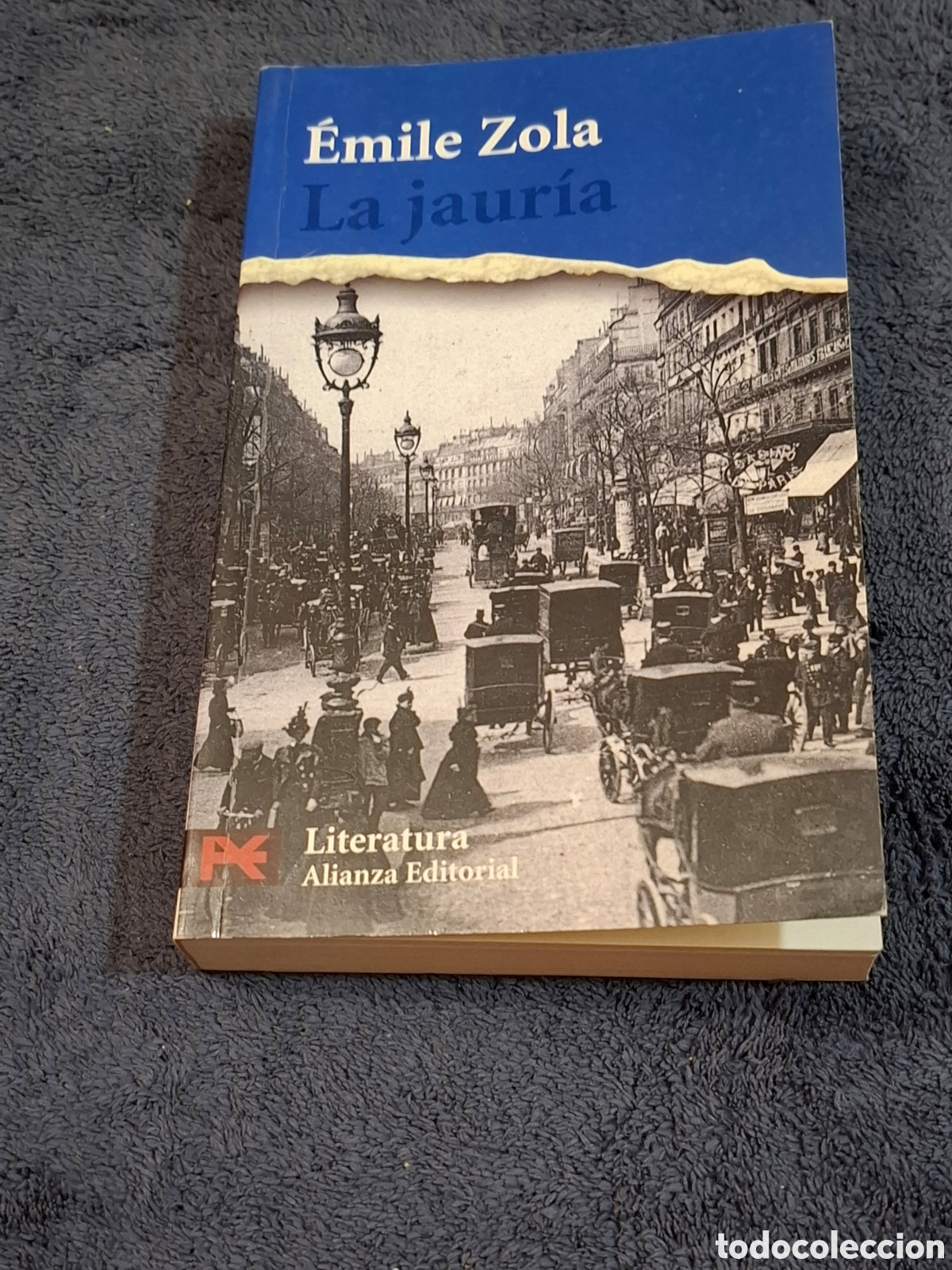 Libros de segunda mano: L15. La Jaur&iacute;a - &Eacute;mile Zola 2007. - Foto 1