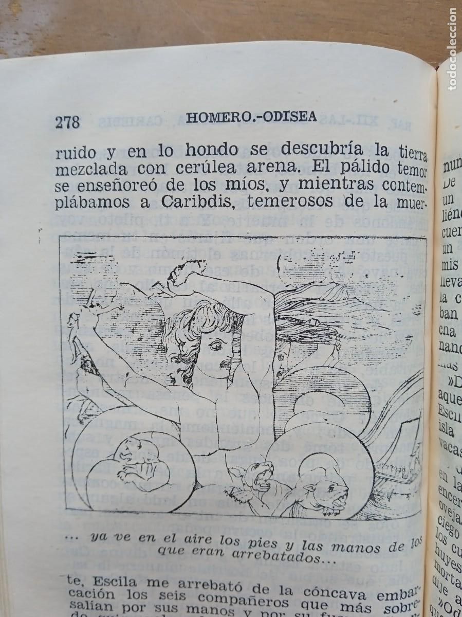 Libros de segunda mano: Homero Odisea Aguilar Crisol 1957 - Foto 11