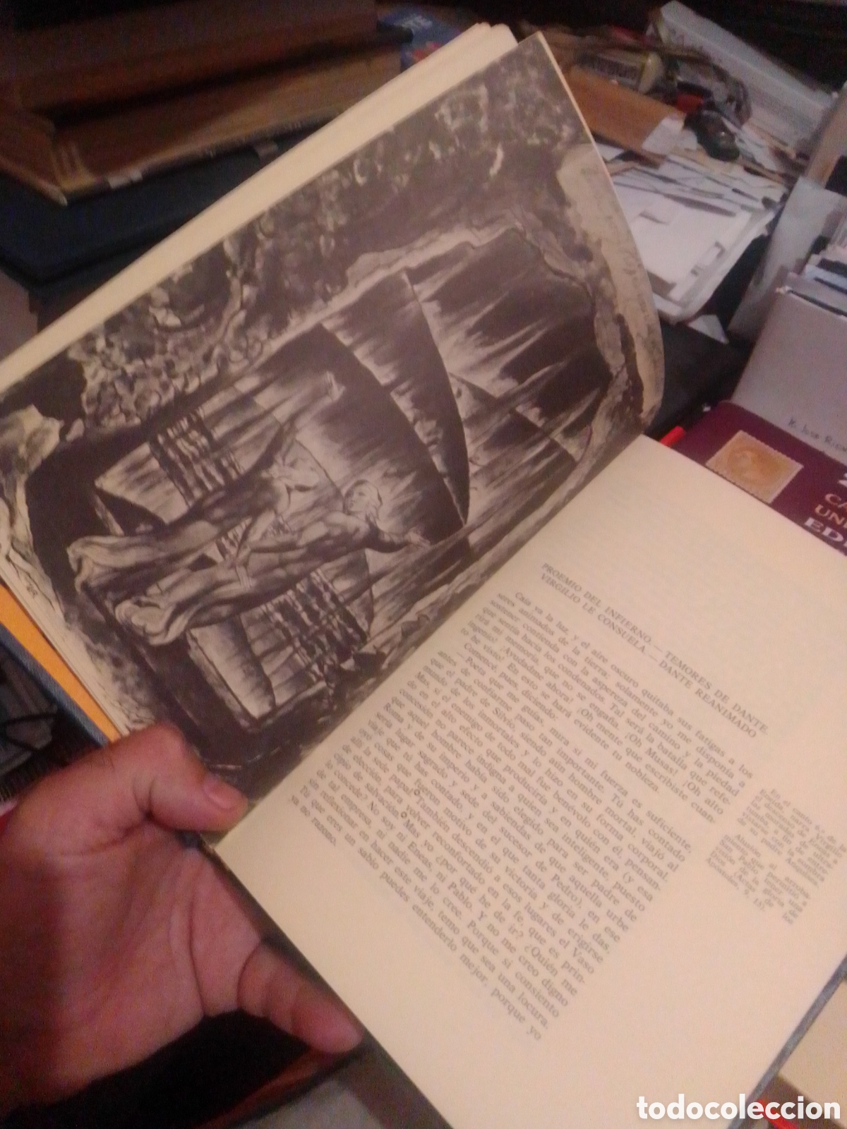 Libros de segunda mano: Dante Alighieri, La divina comedia, Ediciones Nauta - Foto 8