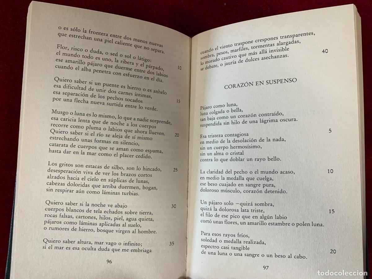 Libros de segunda mano: LIBROS; ESPADAS COMO LABIOS. LA DESTRUCCI&Oacute;N O EL AMOR - VICENTE ALEIXANDRE - Foto 3