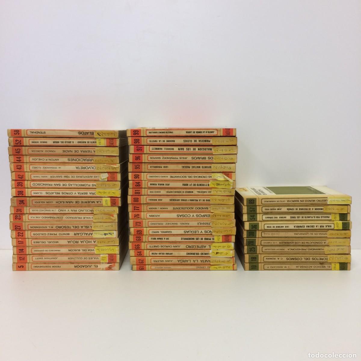 Libros de segunda mano: Libros: Lote de 44 n&uacute;meros de Biblioteca Basica Salvat - Foto 1
