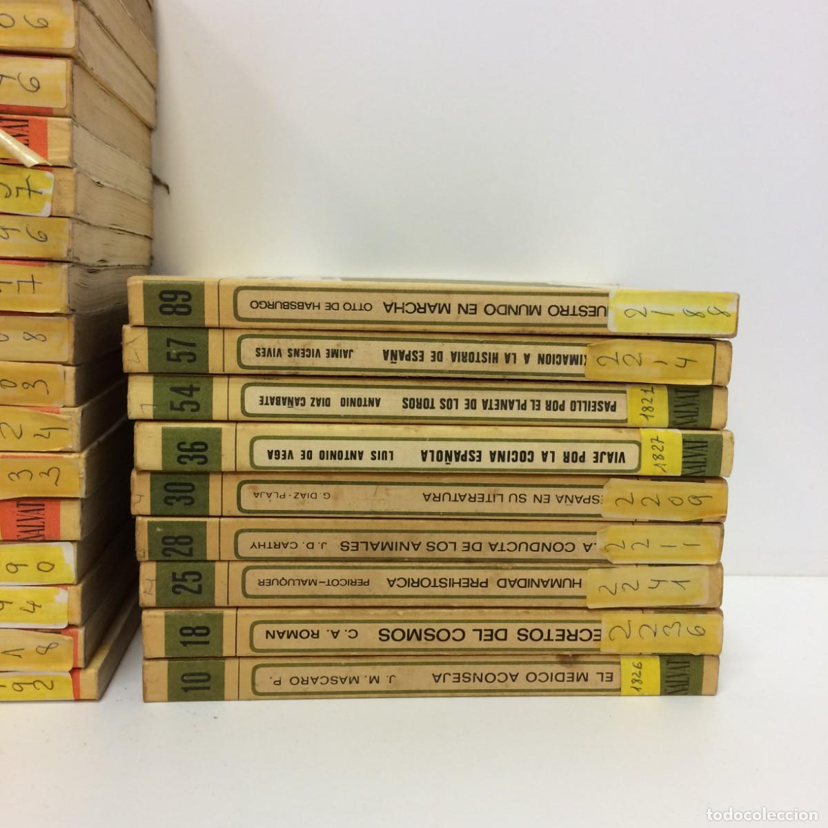 Libros de segunda mano: Libros: Lote de 44 n&uacute;meros de Biblioteca Basica Salvat - Foto 4