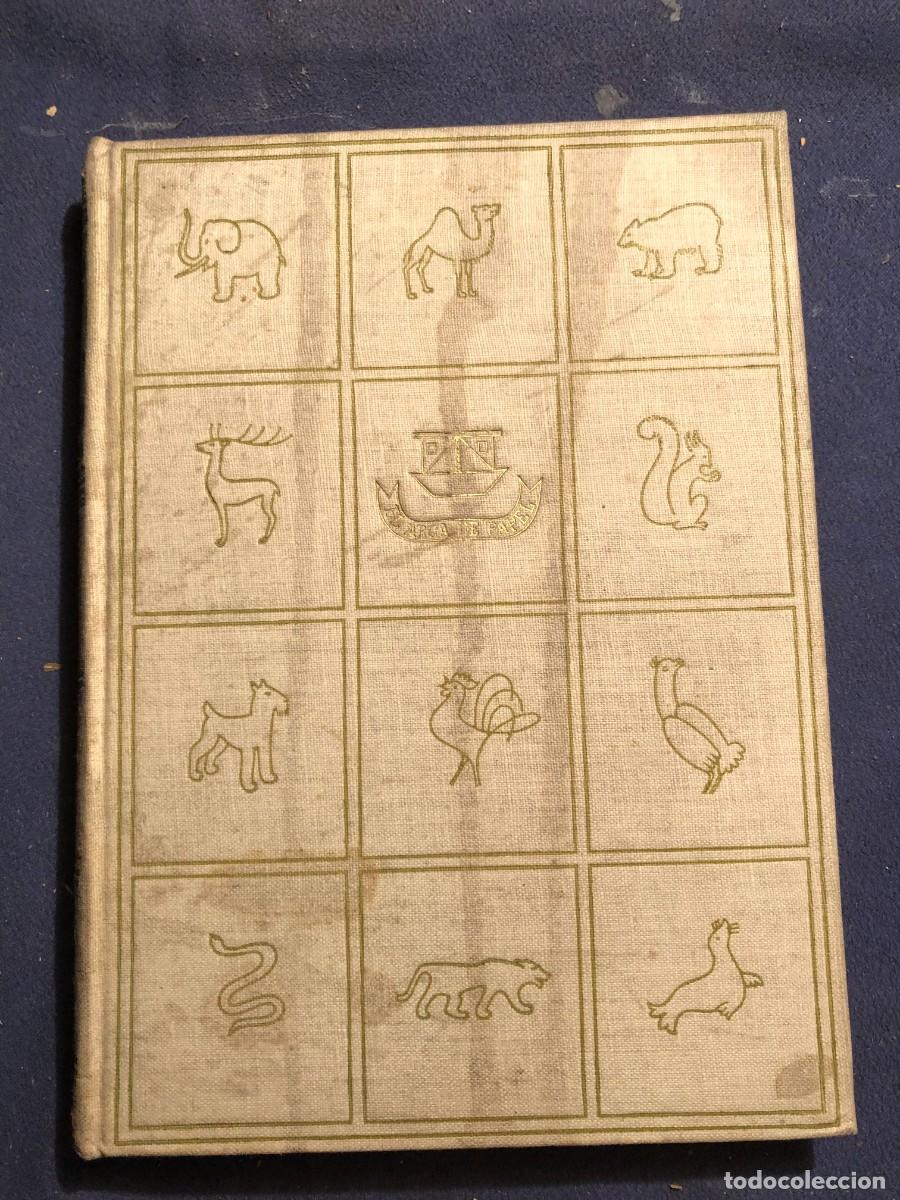 Libros de segunda mano: THOMAS MANN: - SE&Ntilde;OR Y PERRO - (1946) - Foto 2