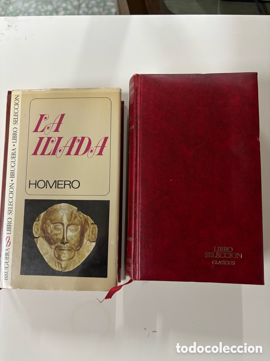 Libros de segunda mano: Editorial Bruguera Las novelas ejemplares y la Iliada - Foto 2