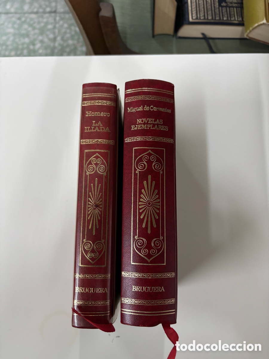 Libros de segunda mano: Editorial Bruguera Las novelas ejemplares y la Iliada - Foto 1