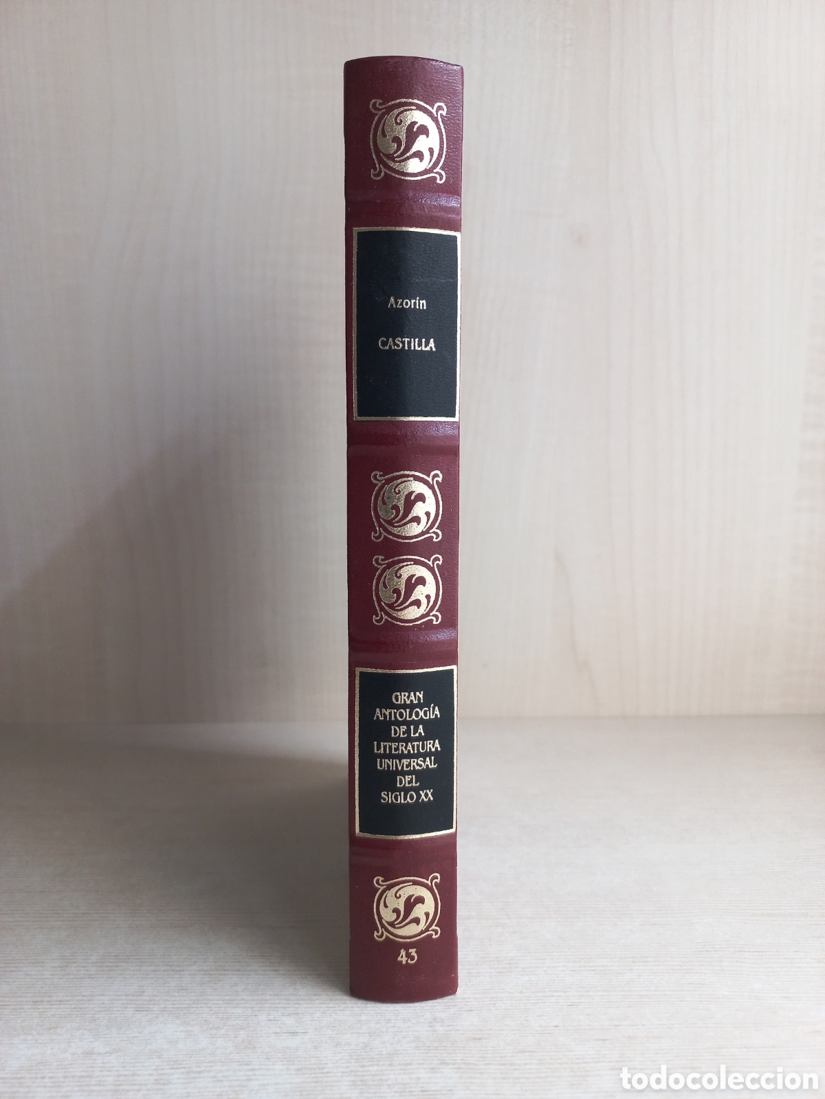 Libros de segunda mano: Castilla. Azor&iacute;n. Plaza y Jan&eacute;s, 1989. - Foto 2