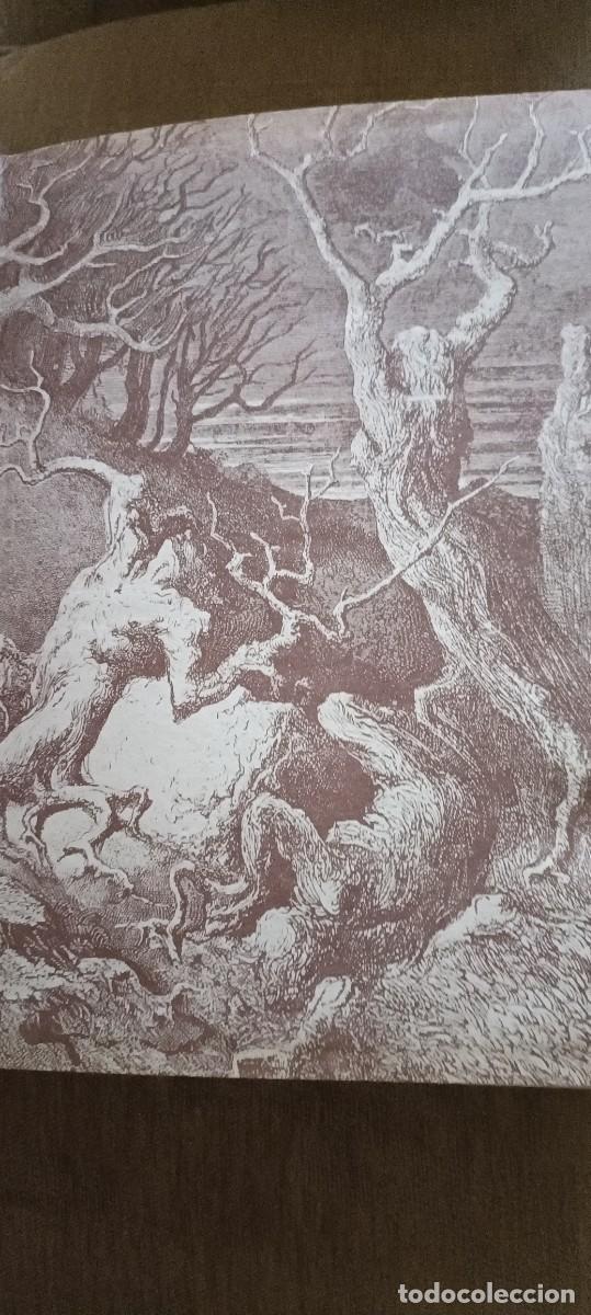 Libros de segunda mano: La Divina comedia. Dante Alighieri - Foto 2