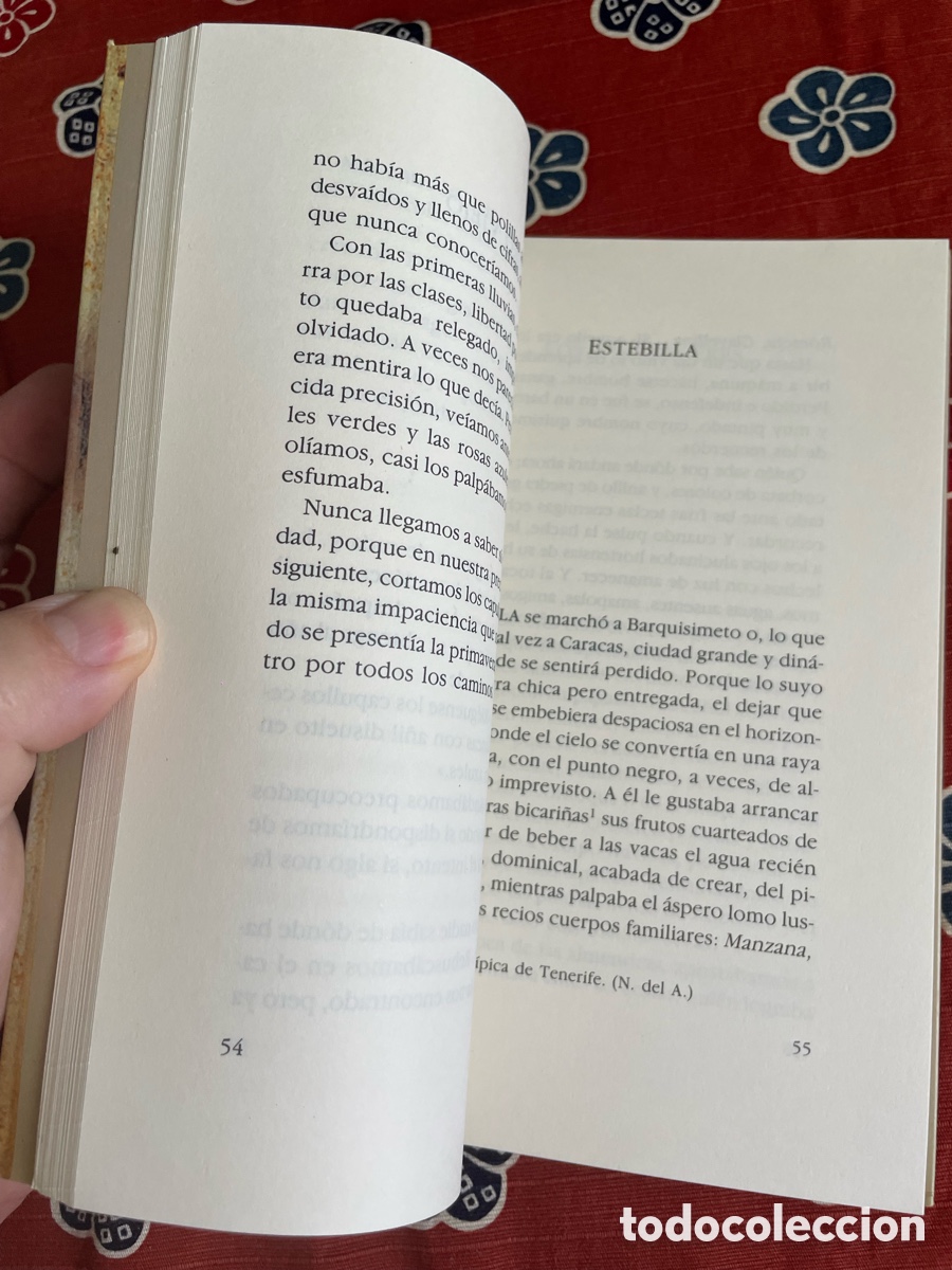 Libros de segunda mano: DINDE. Libro de LUIS FERIA - Foto 3