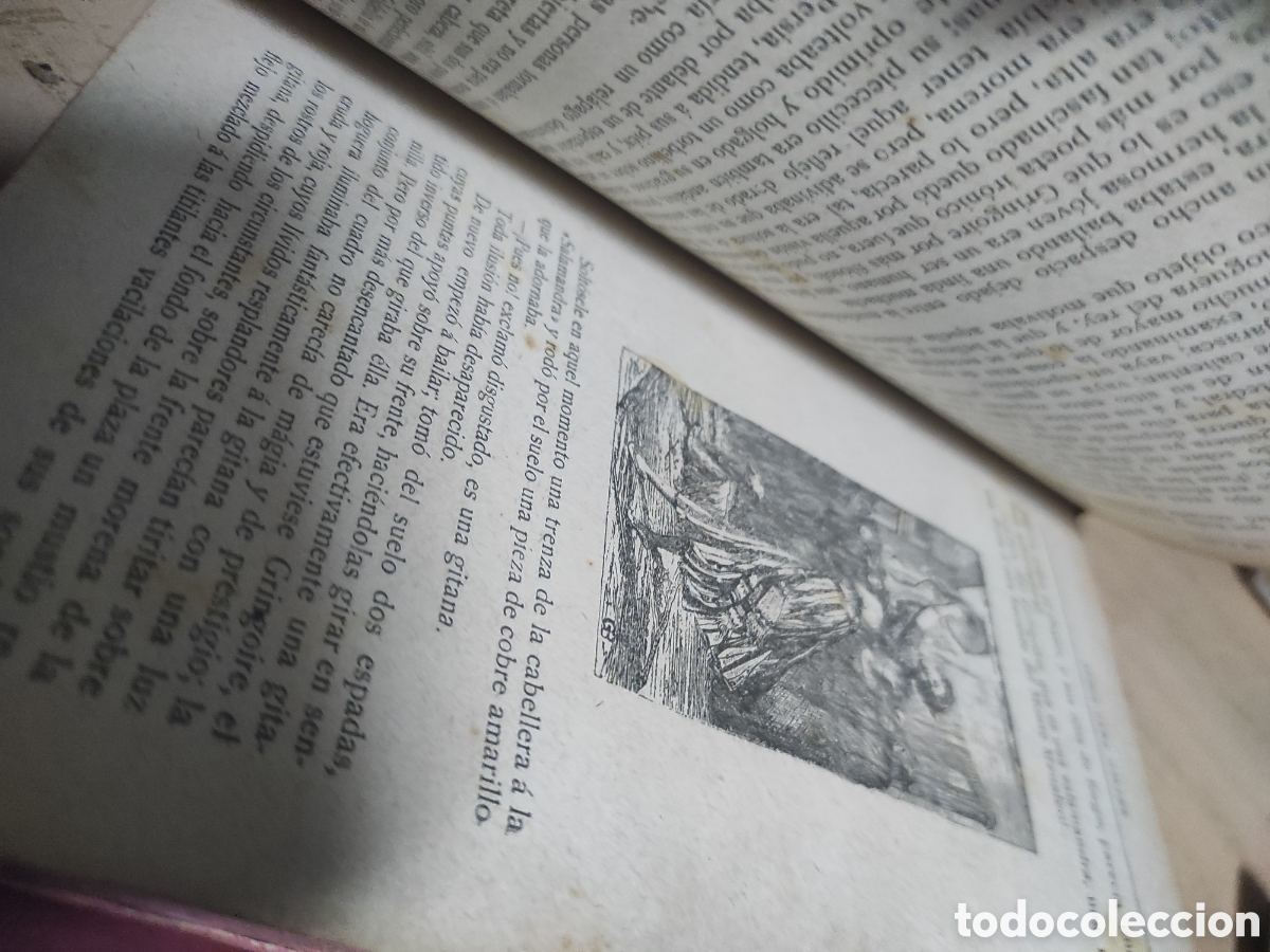 Libros de segunda mano: Nuestra Se&ntilde;ora de Par&iacute;s, V&iacute;ctor Hugo. Salvatella - Foto 5