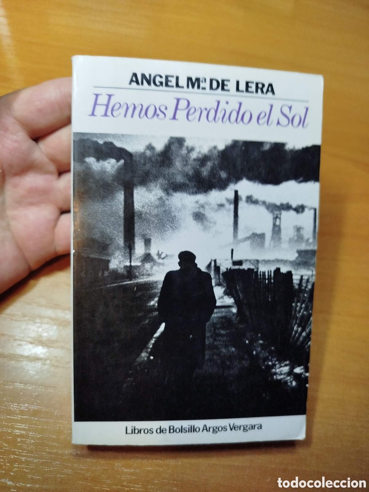 Libros de segunda mano: Hemos perdido el sol. &Aacute;ngel Mar&iacute;a de lera. Argos Vergara - Foto 1