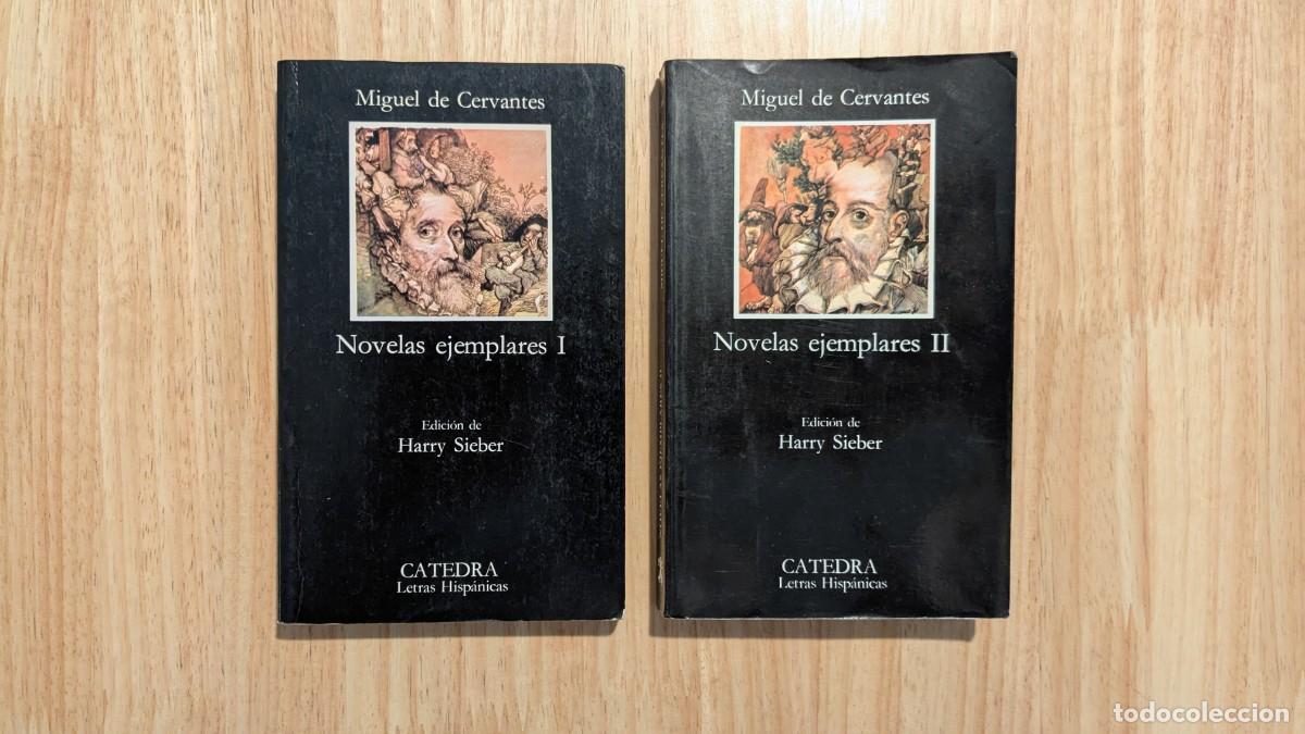 Libros de segunda mano: Novelas ejemplares I y II - Miguel de Cervantes - Foto 1