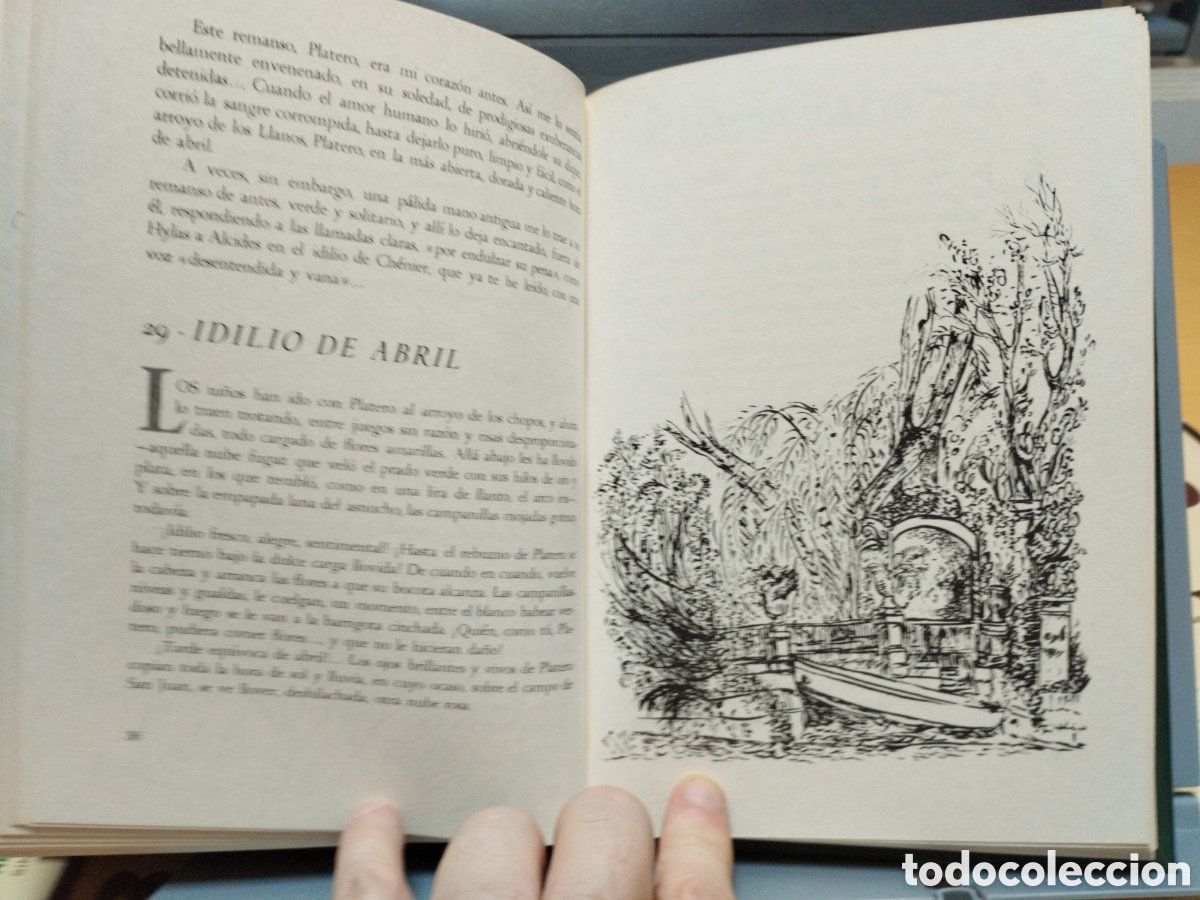 Libros de segunda mano: Platero y yo de Juan Ram&oacute;n Jim&eacute;nez edici&oacute;n del centenario del poeta - Foto 3