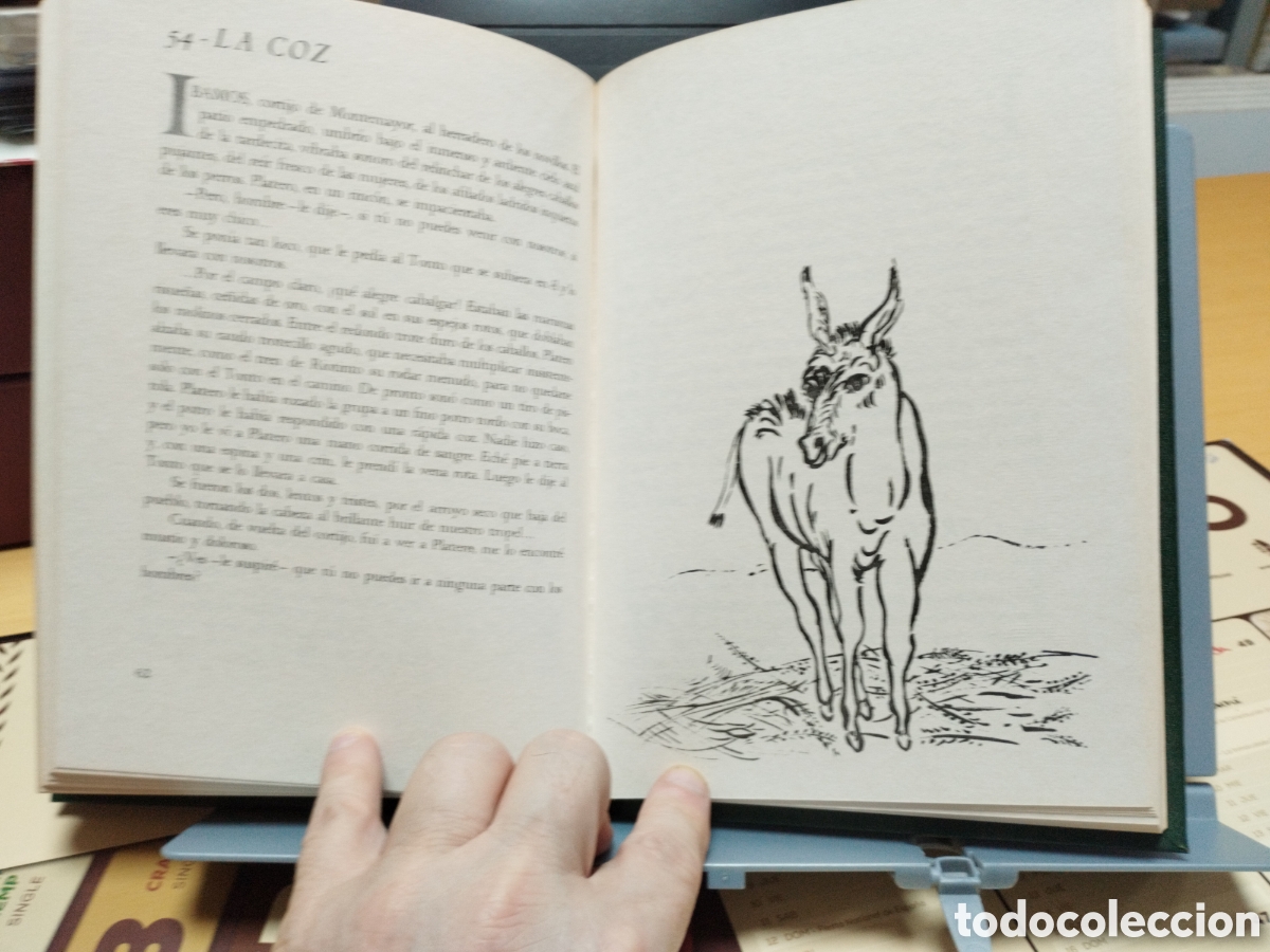 Libros de segunda mano: Platero y yo de Juan Ram&oacute;n Jim&eacute;nez edici&oacute;n del centenario del poeta - Foto 4