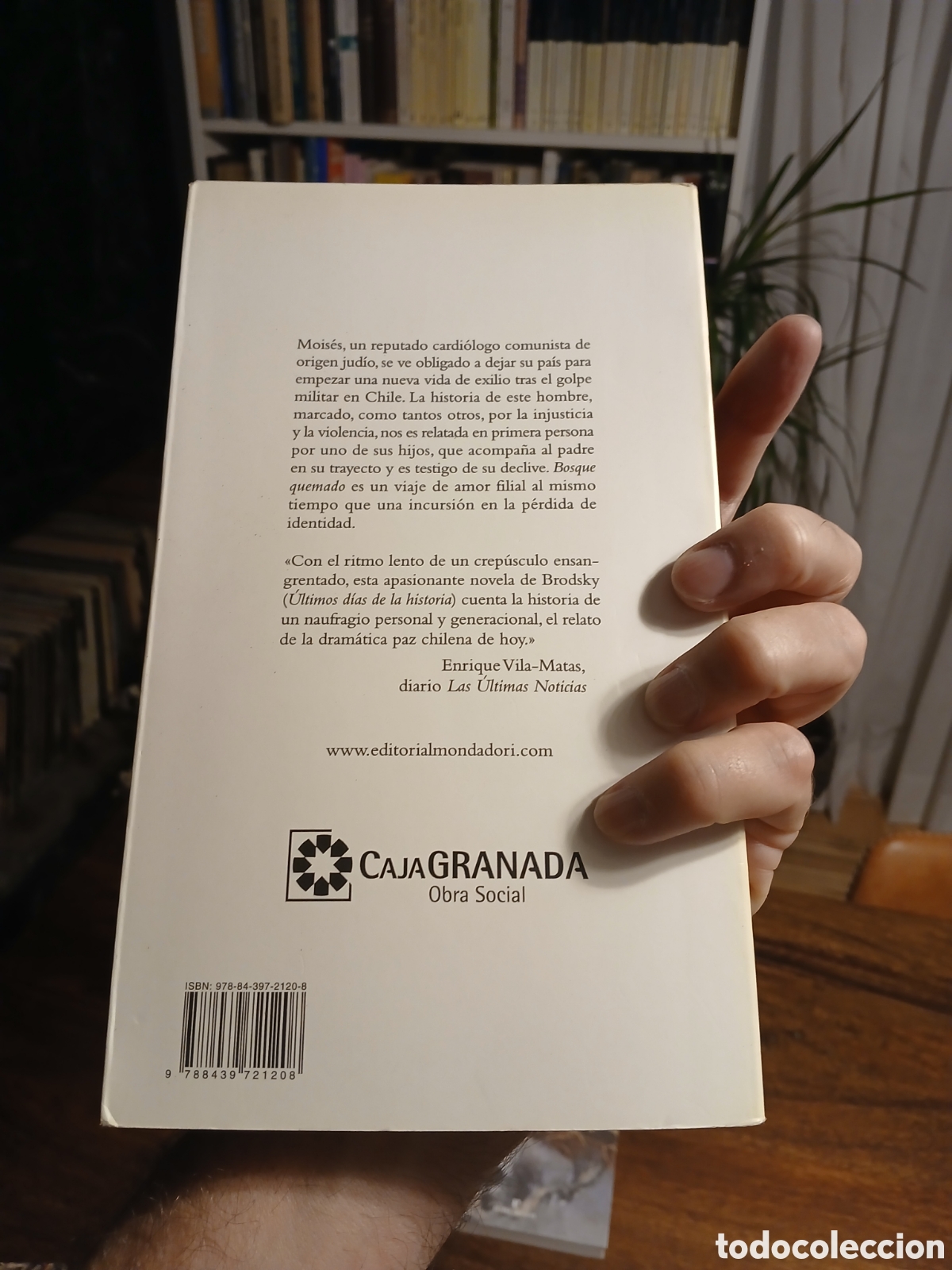 Libros de segunda mano: Bosque quemado, Roberto Brodsky - Foto 2
