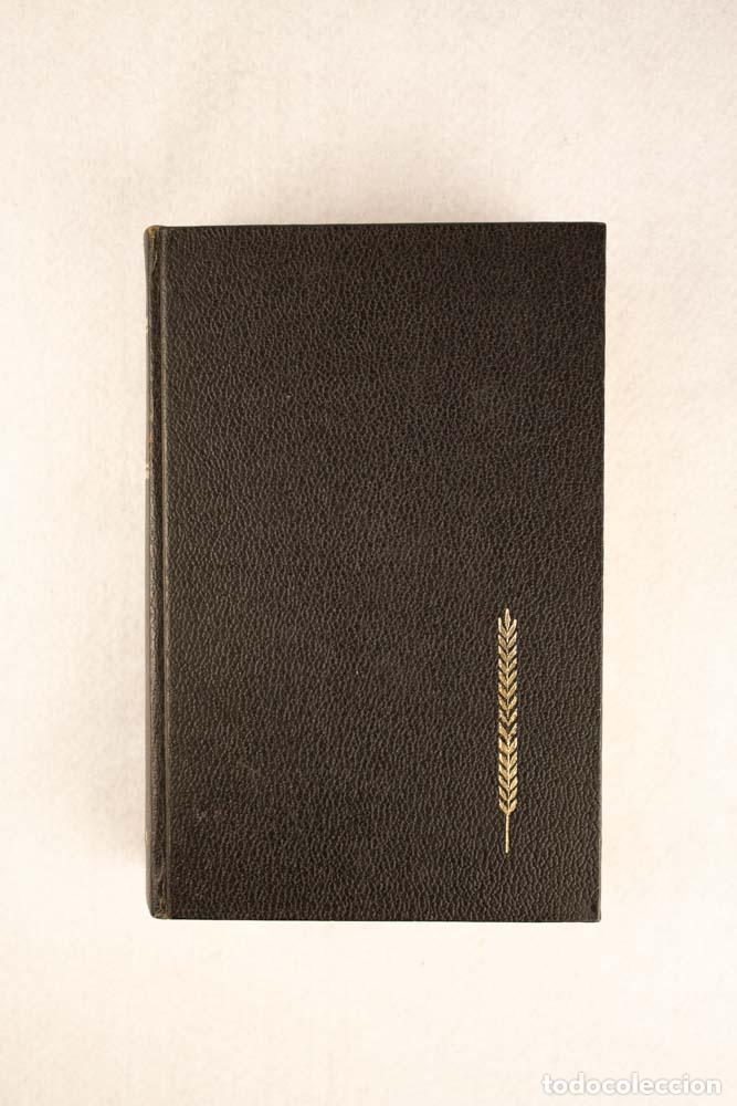 Libros de segunda mano: El conde de Montecristo - Alexandre Dumas - Foto 1