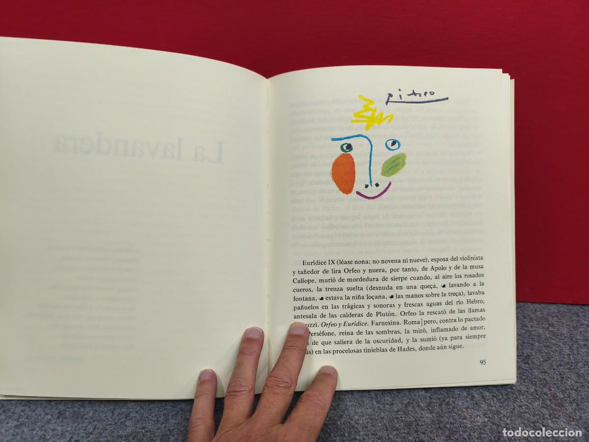 Libros de segunda mano: LIBRO CAMILO J. CELA CON DIBUJOS DE PICASSO - Foto 10