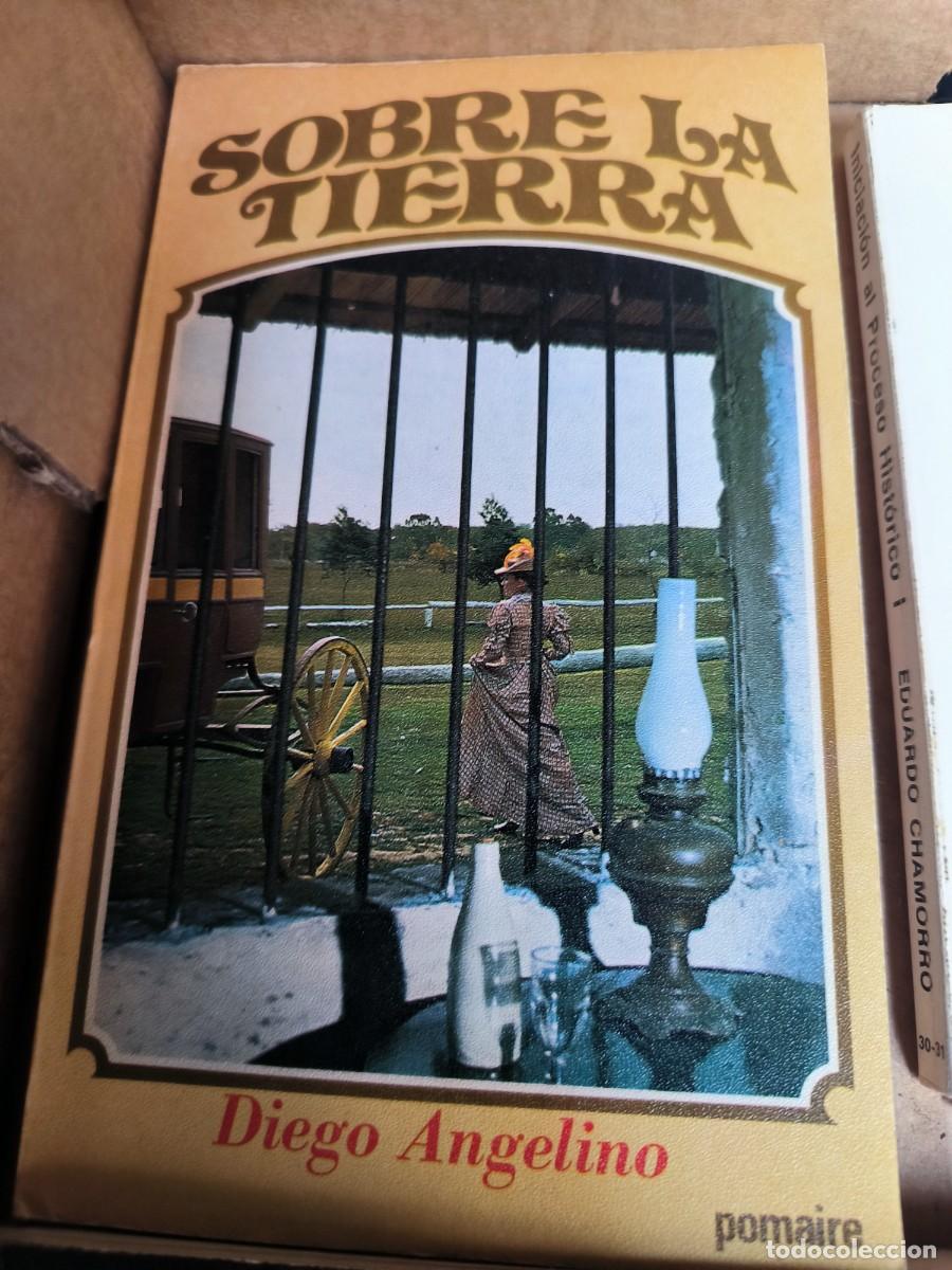 Libros de segunda mano: Sobre la tierra (Diego Angelino) - Foto 1