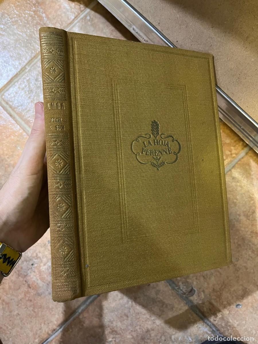 Libros de segunda mano: BLAS57A AMOR, DE PEARL S BUCK - Foto 1