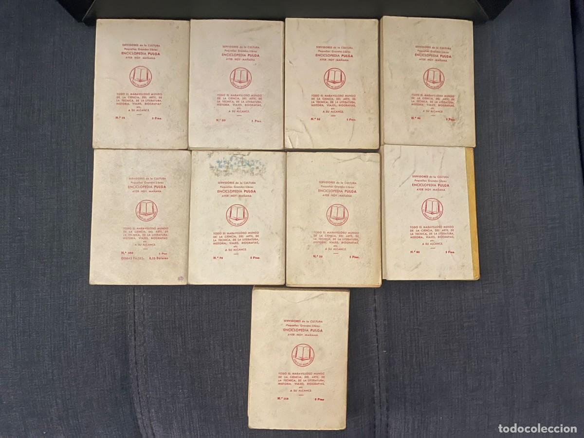 Libros de segunda mano: LOTE DE 9 LIBROS ENCICLOPEDIA PULGA - Foto 2