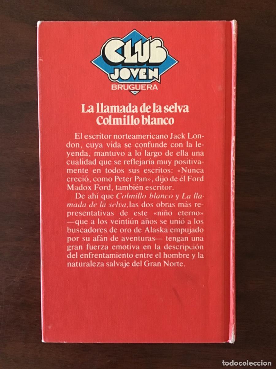 Libros de segunda mano: Jack London: Colmillo blanco, y La llamada de la selva - Foto 2
