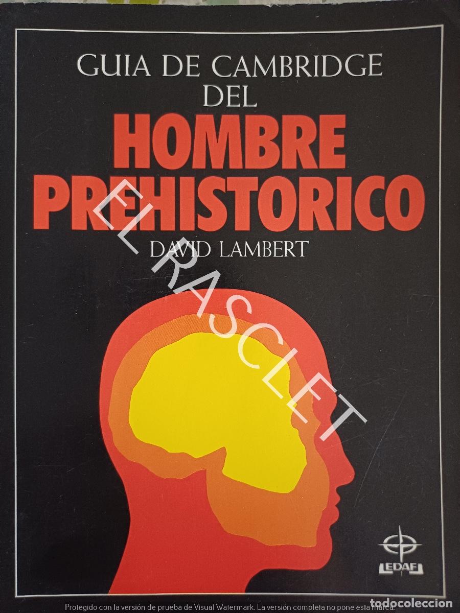 Libros de segunda mano: GUIA DE CAMBRIDGE DEL HOMBRE PREHISTORICO- DAVID LAMBERT - Foto 1