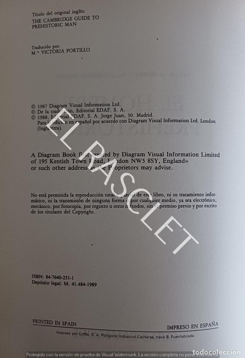 Libros de segunda mano: GUIA DE CAMBRIDGE DEL HOMBRE PREHISTORICO- DAVID LAMBERT - Foto 3