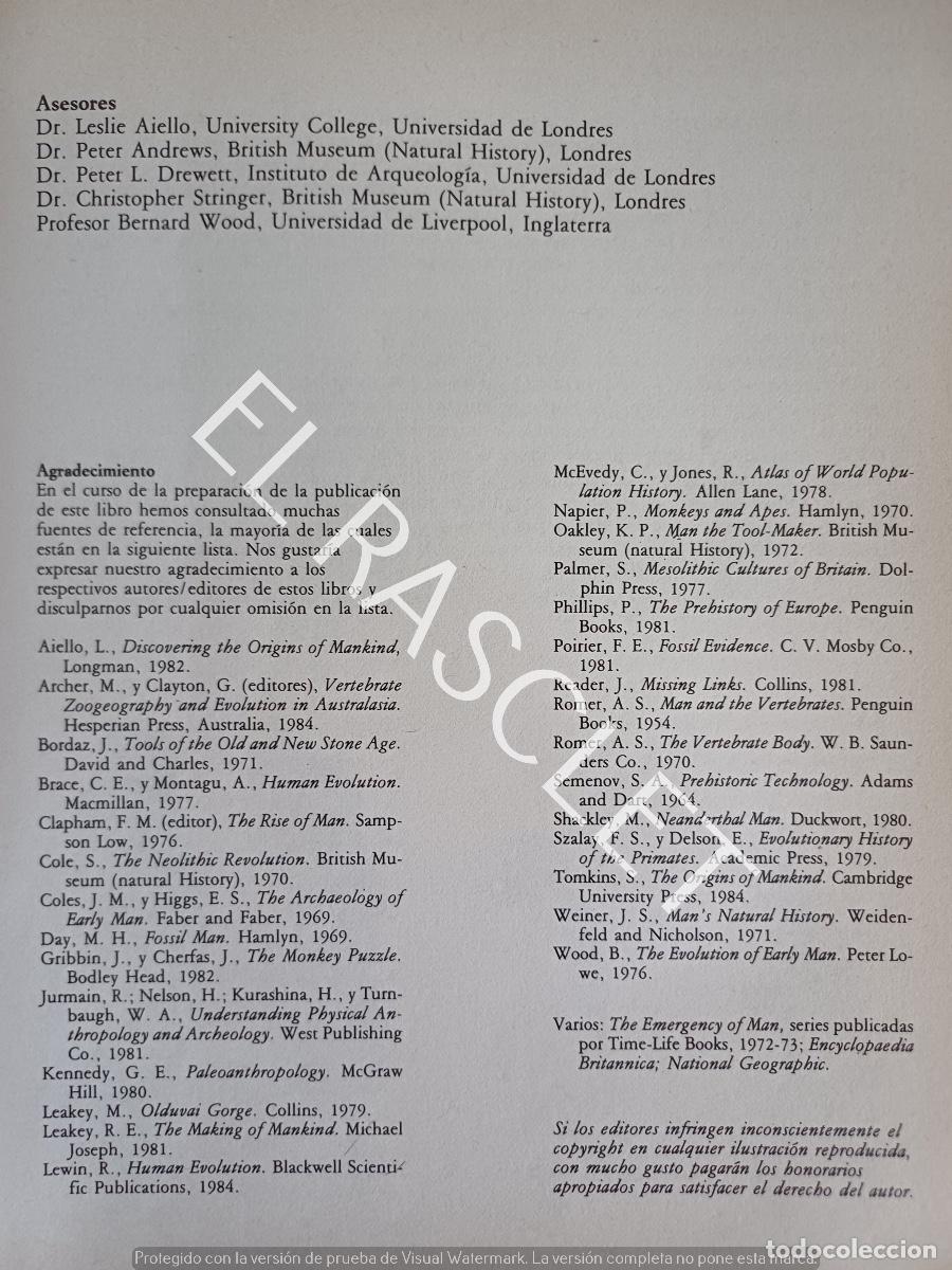 Libros de segunda mano: GUIA DE CAMBRIDGE DEL HOMBRE PREHISTORICO- DAVID LAMBERT - Foto 4