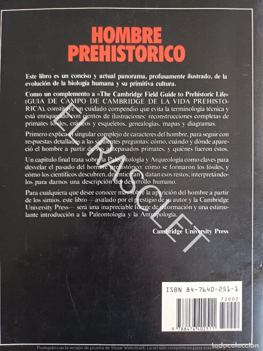 Libros de segunda mano: GUIA DE CAMBRIDGE DEL HOMBRE PREHISTORICO- DAVID LAMBERT - Foto 5