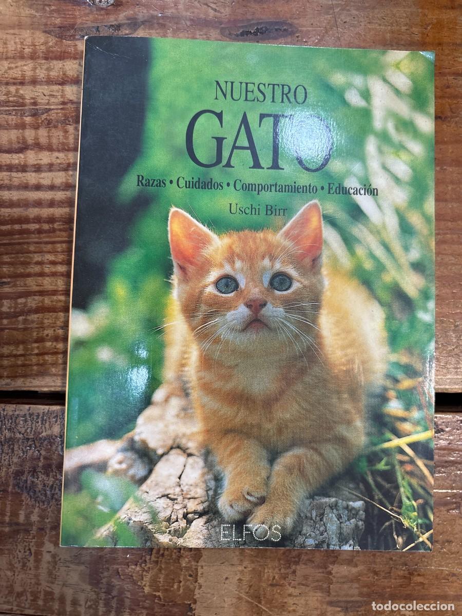 Libros de segunda mano: NUESTRO GATO Varios libro - Foto 1