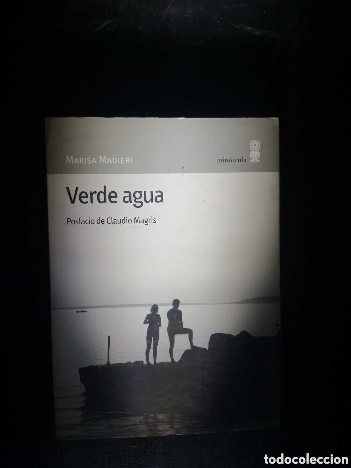 Libros de segunda mano: Toreteblanco verde agua Marisa madieri - Foto 1