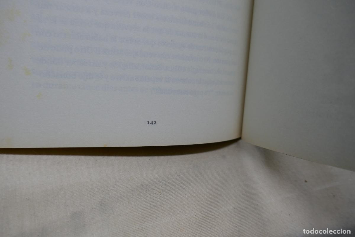Libros de segunda mano: Perdidos en Frog - Jes&uacute;s Miguel Soto - Foto 14