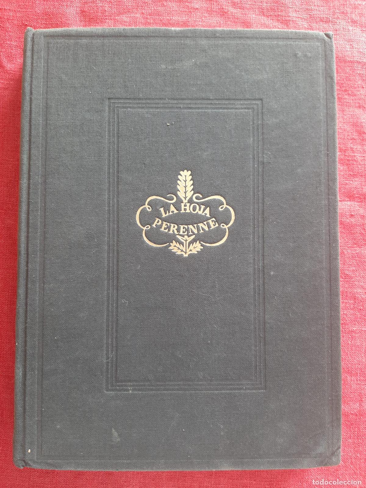 Libros de segunda mano: El camino del mal - Deledda. Grazia - Foto 3