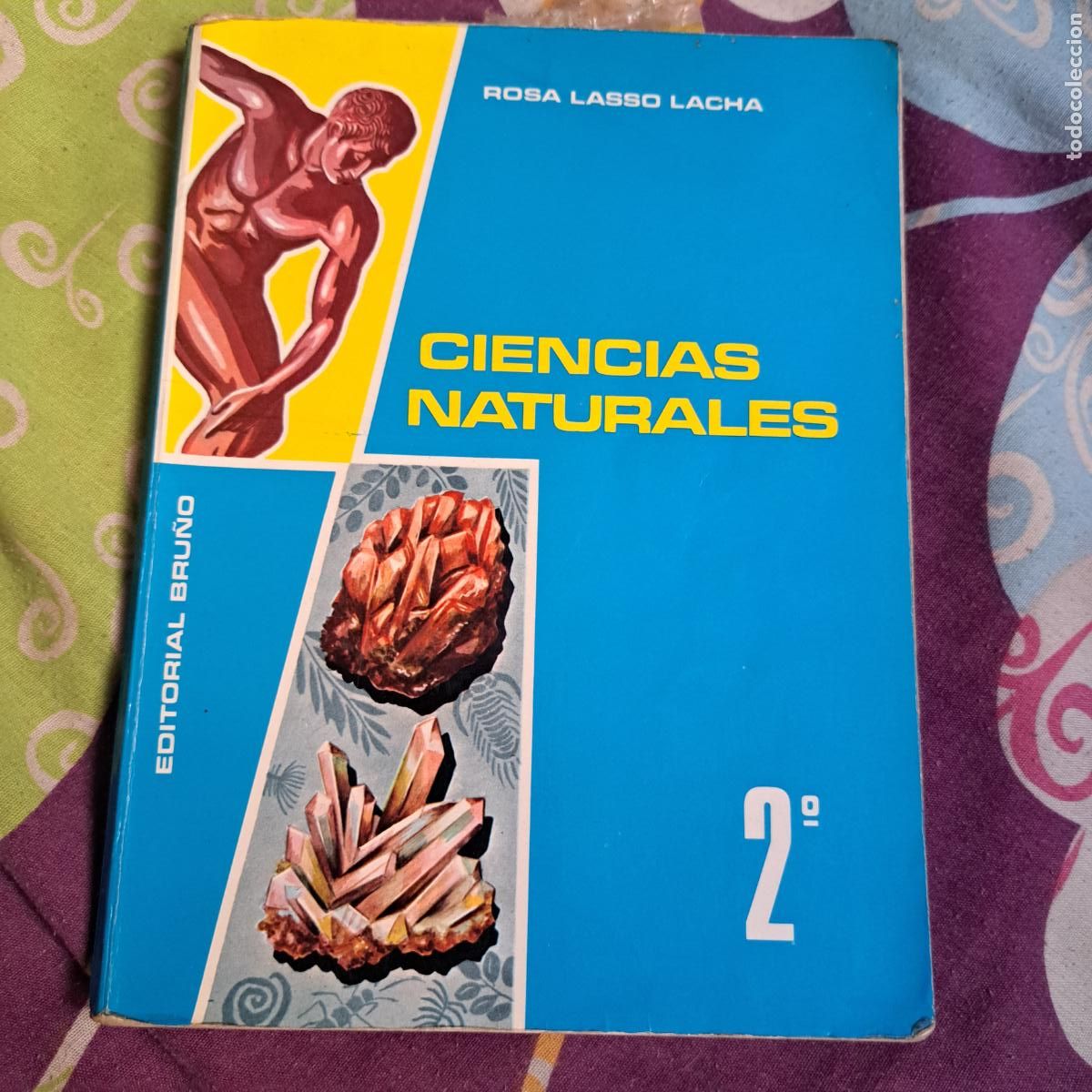 Libros de segunda mano: CIENCIAS NATURALES 2. EDITORIAL BRU&Ntilde;O - Foto 1