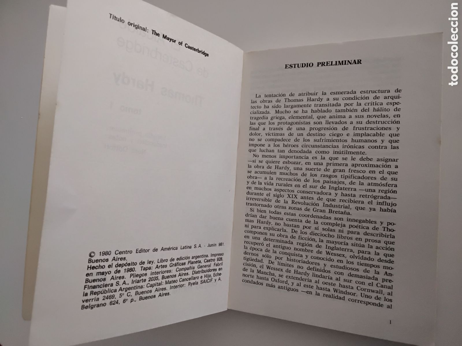 Libros de segunda mano: Thomas Hardy &mdash; El alcalde de Casterbridge. Dos tomos. (Biblioteca B&aacute;sica Universal, 1980) - Foto 3