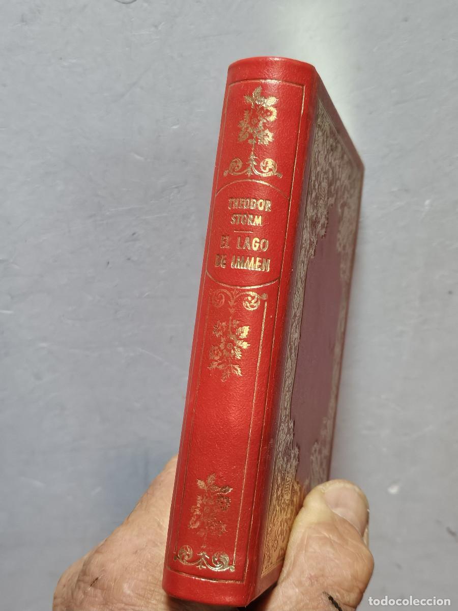Libros de segunda mano: libro de literatura el lago de immnes - Foto 2