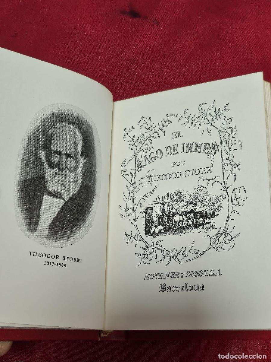 Libros de segunda mano: libro de literatura el lago de immnes - Foto 3