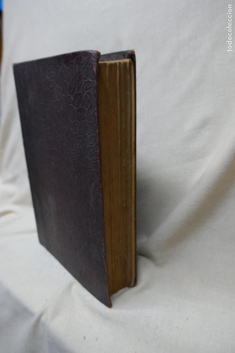 Libros de segunda mano: Las ingenuas - 2&ordf; parte.- Trigo, Felipe - Foto 7