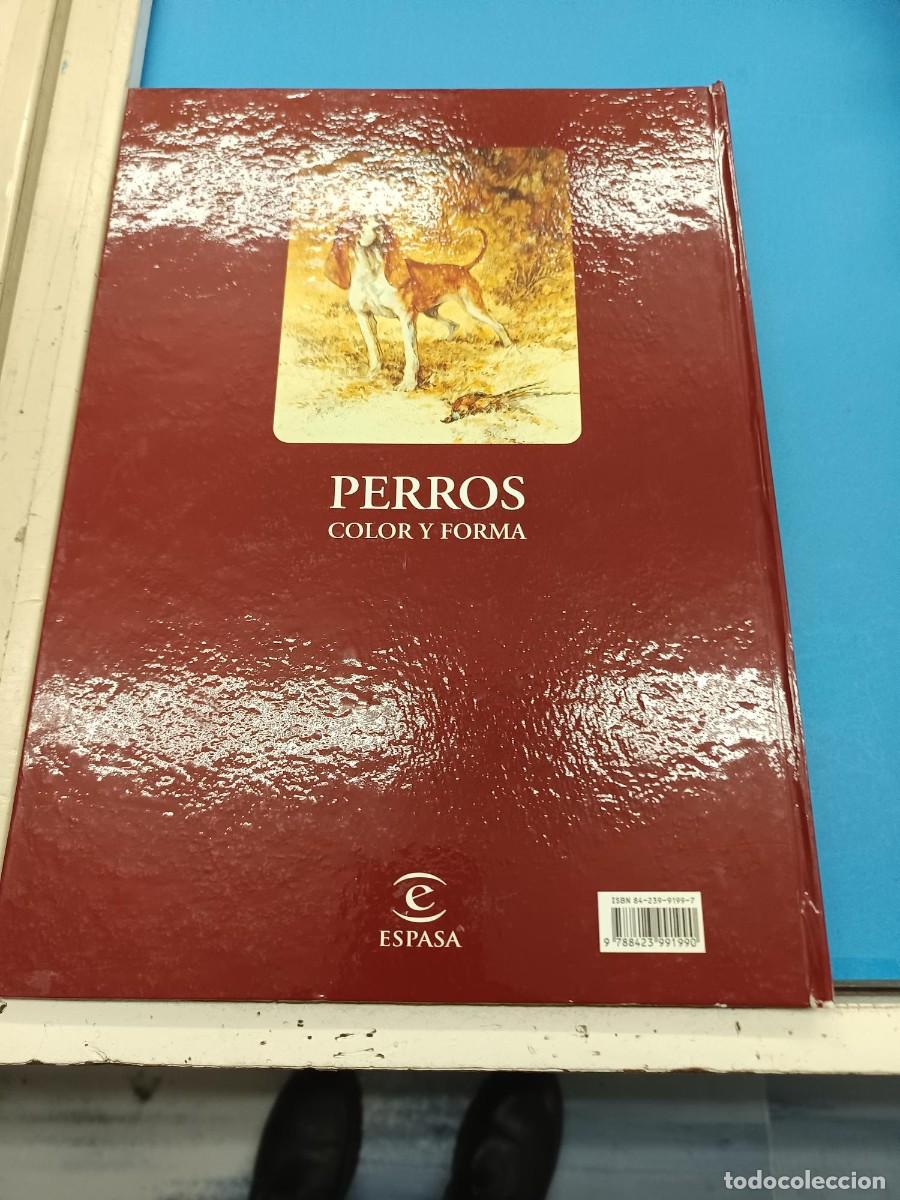 Libros de segunda mano: PERROS COLOR Y FORMA JOSE CARLOS GRACIA ESPASA - Foto 2