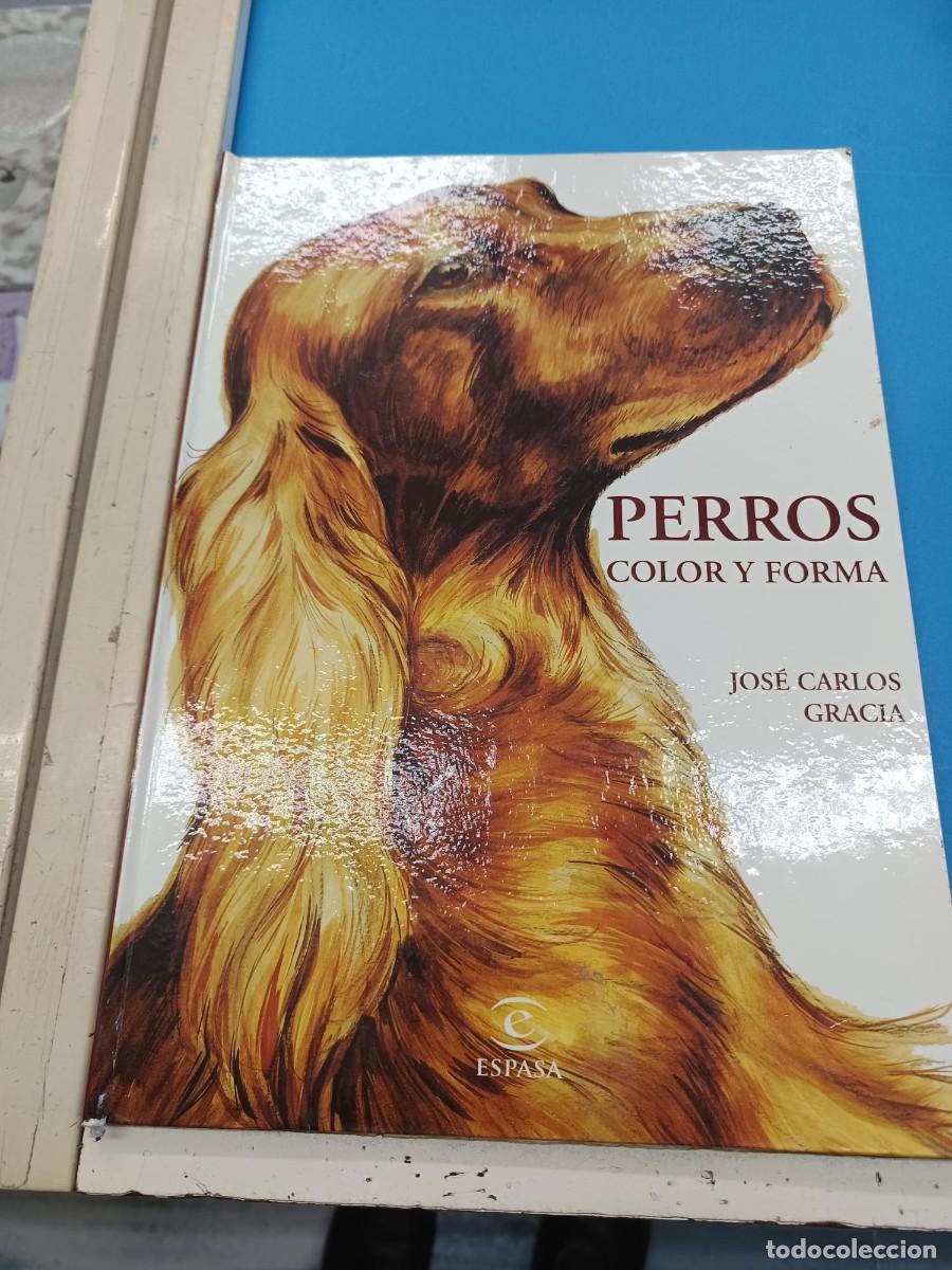 Libros de segunda mano: PERROS COLOR Y FORMA JOSE CARLOS GRACIA ESPASA - Foto 1