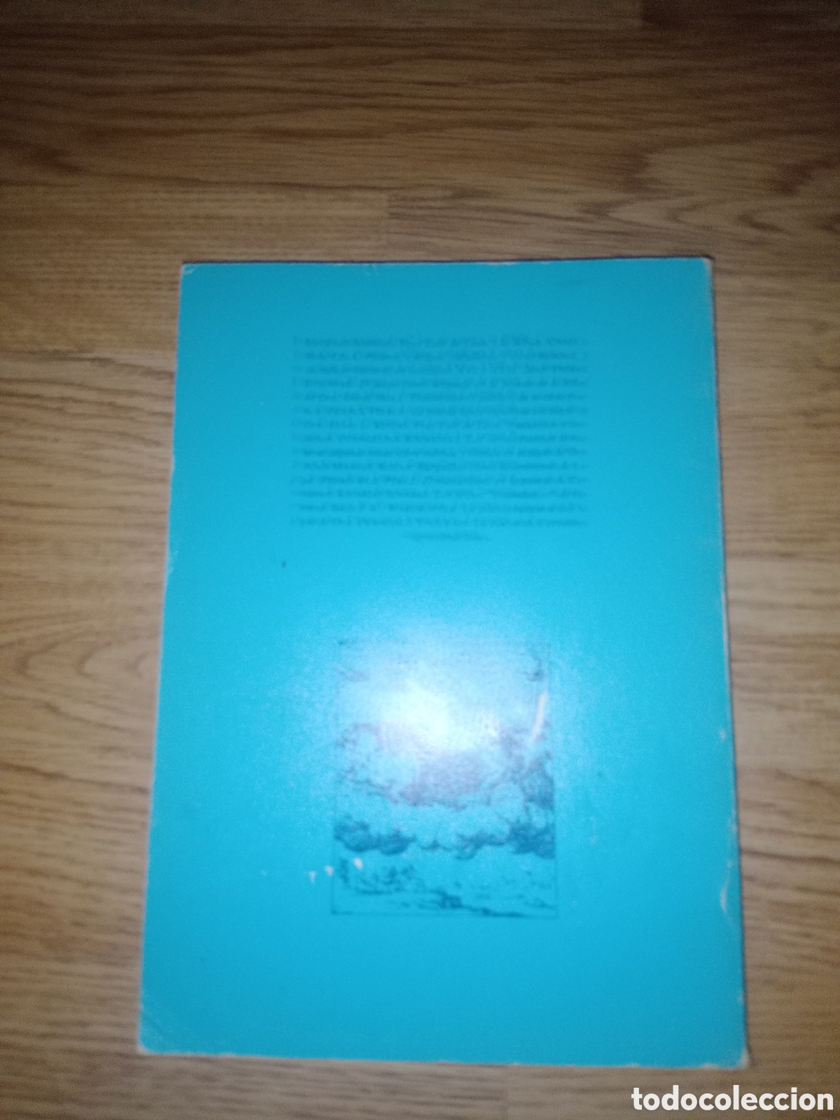 Libros de segunda mano: Toreteblanco edad de oro iv - Foto 2