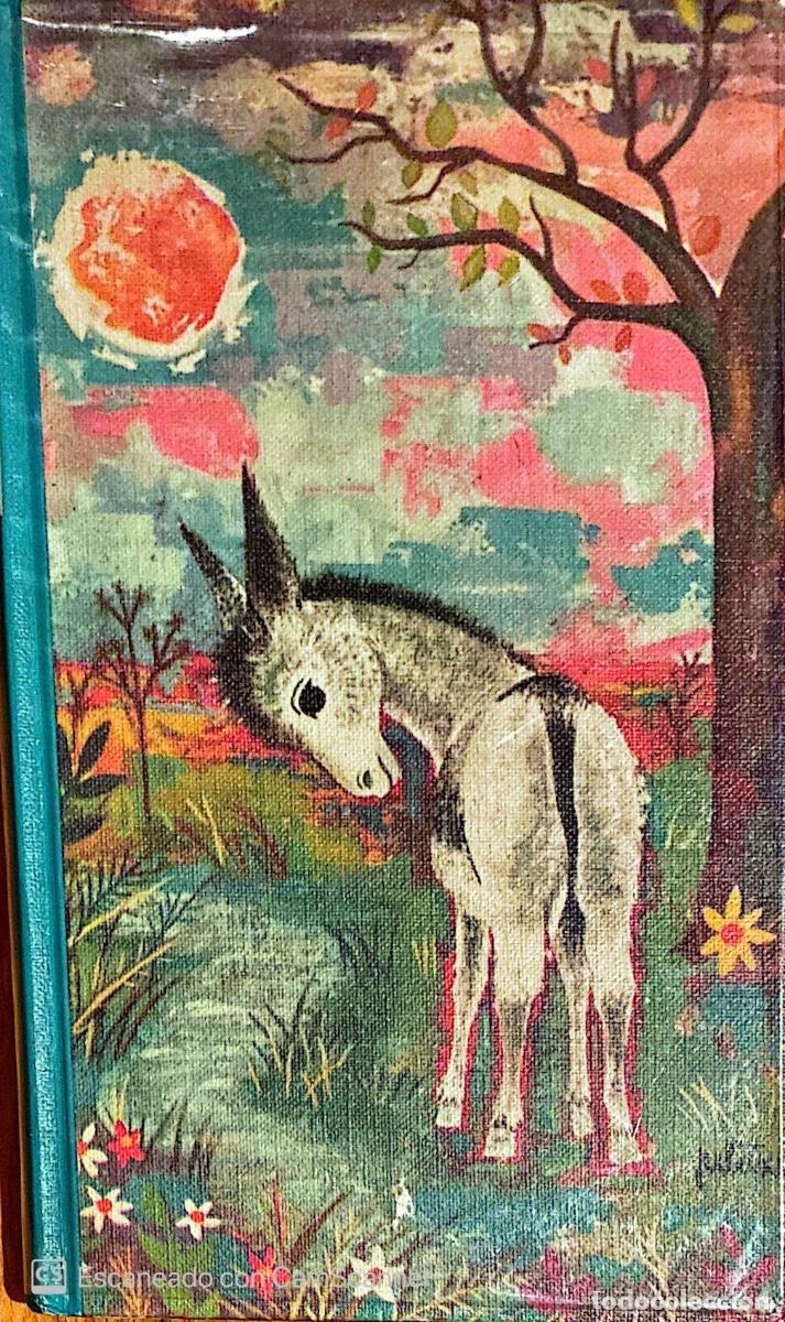 Libros de segunda mano: Juan Ram&oacute;n Jim&eacute;nez - Platero y yo - Foto 1