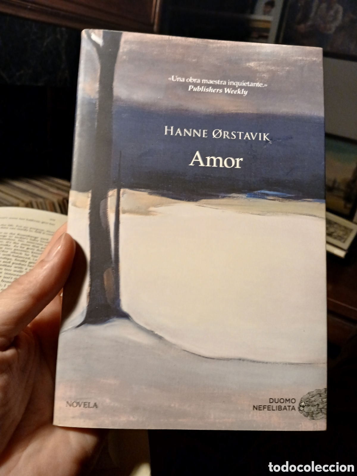 Libros de segunda mano: Amor, Hanne &Atilde; rstavik - Foto 1