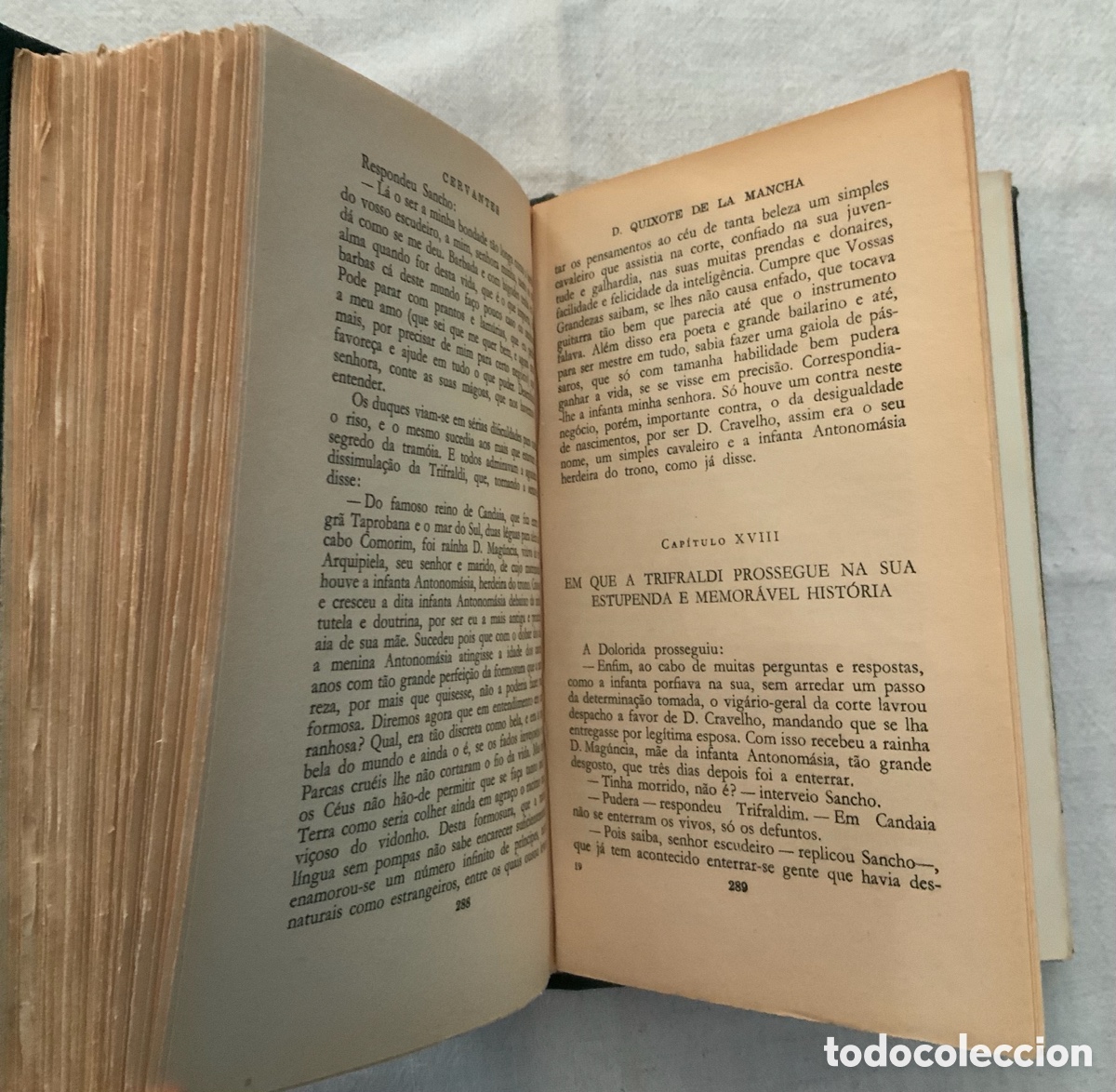 Libros de segunda mano: D. Quixote de la Mancha. Portugalia. 1966 - Foto 8