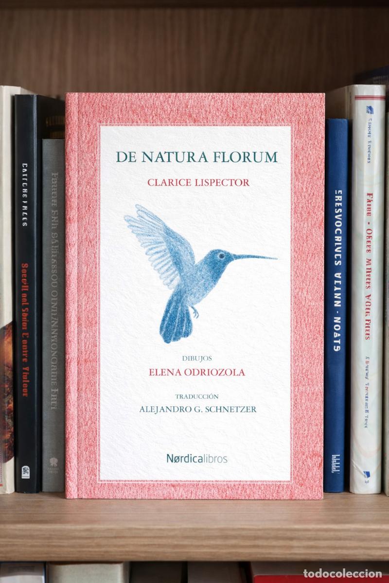 Libros de segunda mano: Clarice Lispector &ndash; De Natura Florum. 1ra. ed. 2020 - LM* - Foto 1