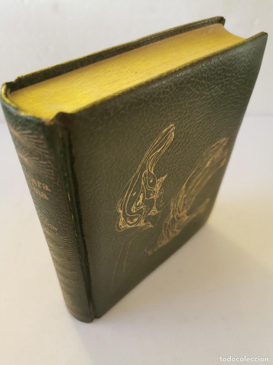 Libros de segunda mano: LA P&Iacute;CARA JUSTINA, FRANCISCO L&Oacute;PEZ DE &Uacute;BEDA -Zeus - Foto 1