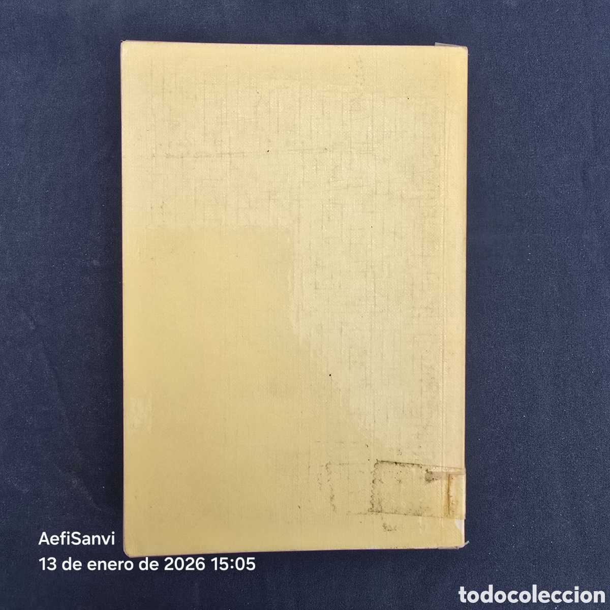 Libros de segunda mano: RTV 15: WERTHER (GOETHE) (SALVAT) - Foto 2