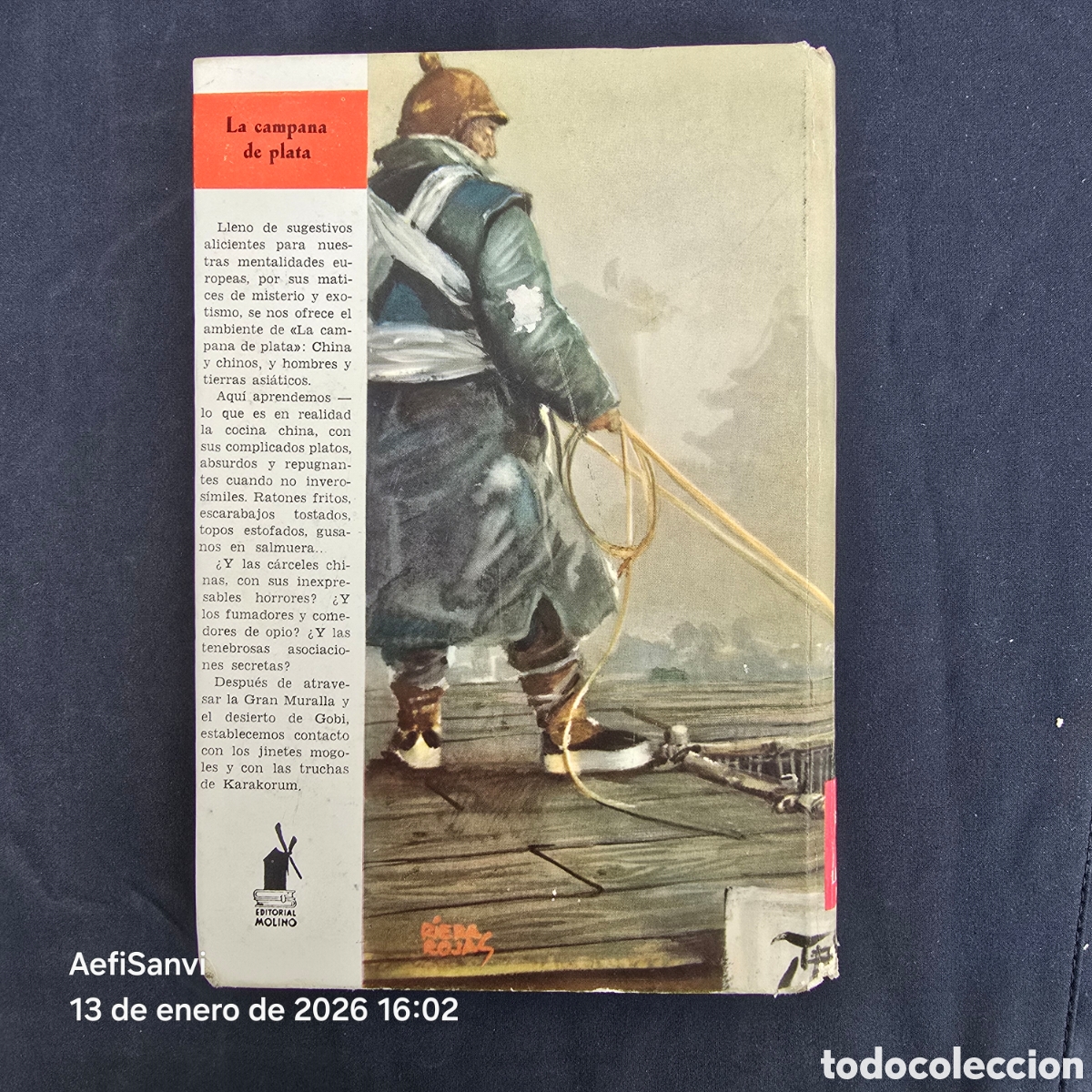 Libros de segunda mano: LA CAMPANA DE PLATA (EMILIO SALGARI) (MOLINO) - Foto 2