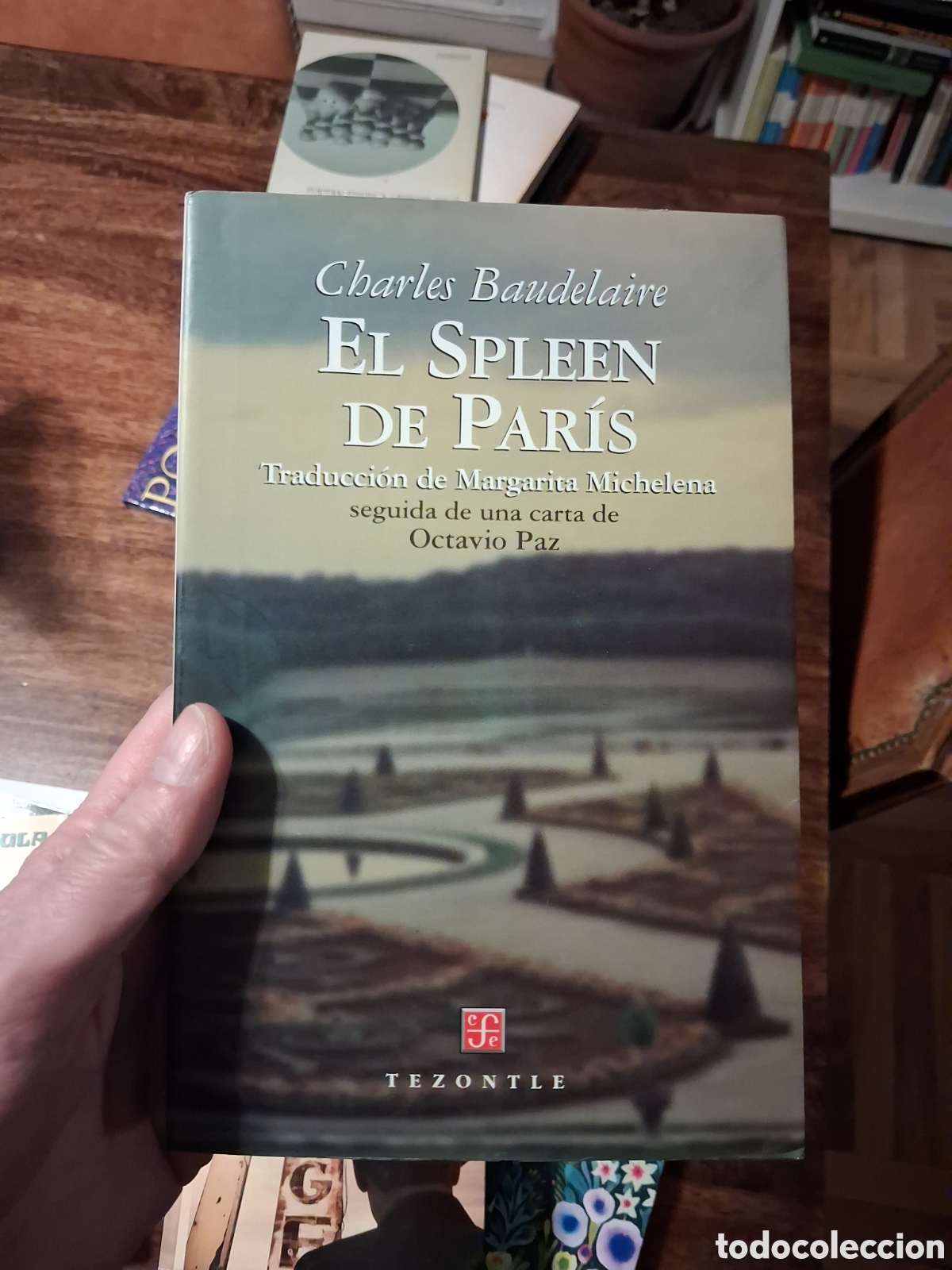 Libros de segunda mano: El Spleen de Par&iacute;s, Charles Baudelaire - Foto 1